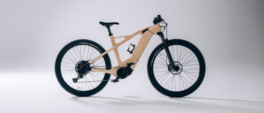 Annum Bicycles | E-Mountainbike [custom]